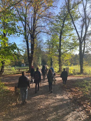 Social Walk by Teuto Bello